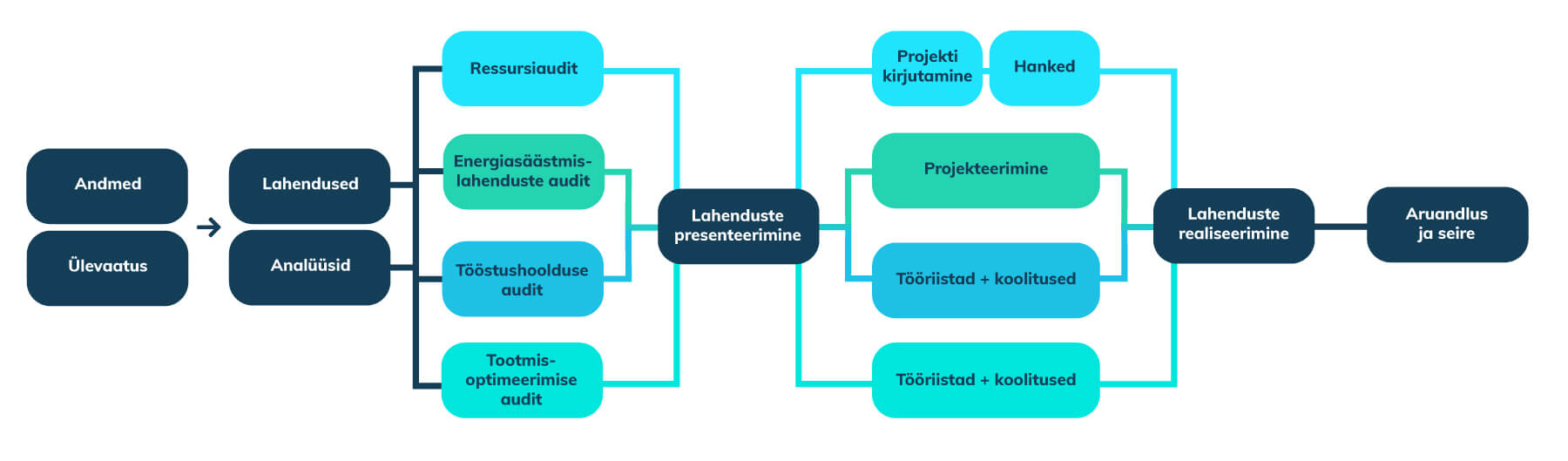ressusrsiaudit koostamise etapid ressursitõhusus meetmeks