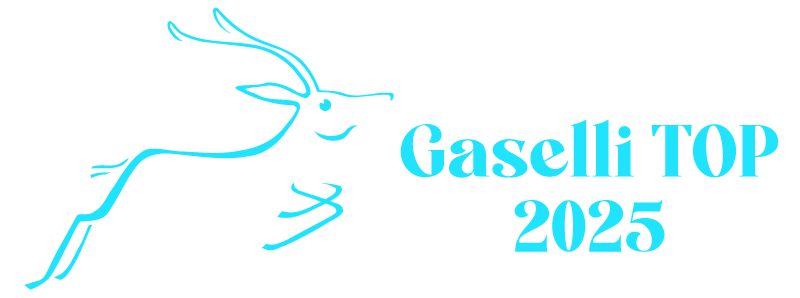 Gaselli Top 2025 - DeltaE